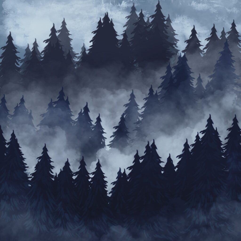 Foggy Forest